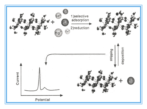 1706754265669986.png 1.png