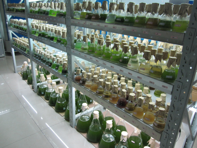 纳米银溶液在植物种植领域的应用场景有哪些?