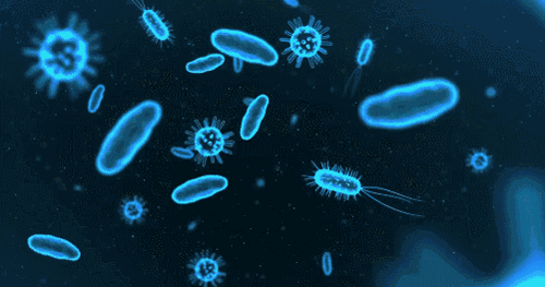 纳米银抗菌材料抗菌效果示意图 纳米银抗菌材料抗菌效果示意图